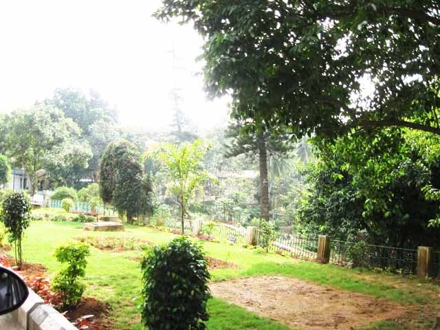 Tirumala forest Tirumal forest