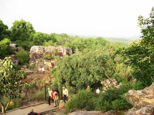 Lush Jungle Tirumala Lush Jungle Tirumala