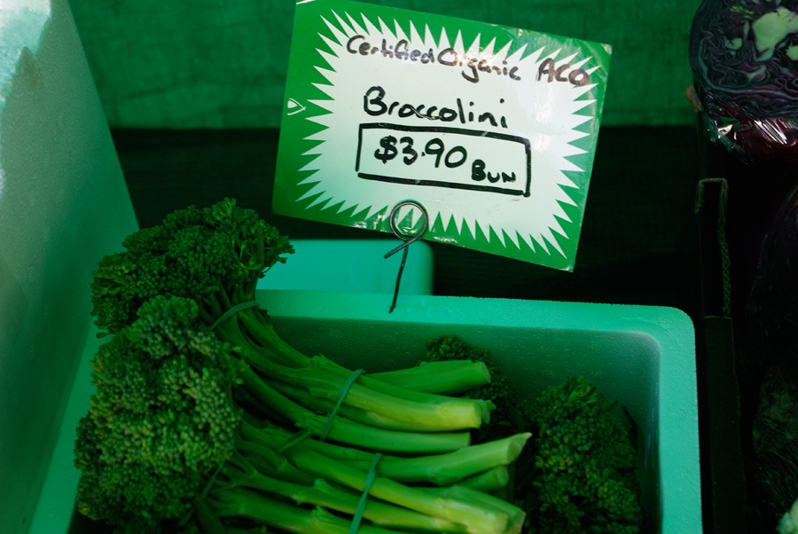 broccolini broccolini