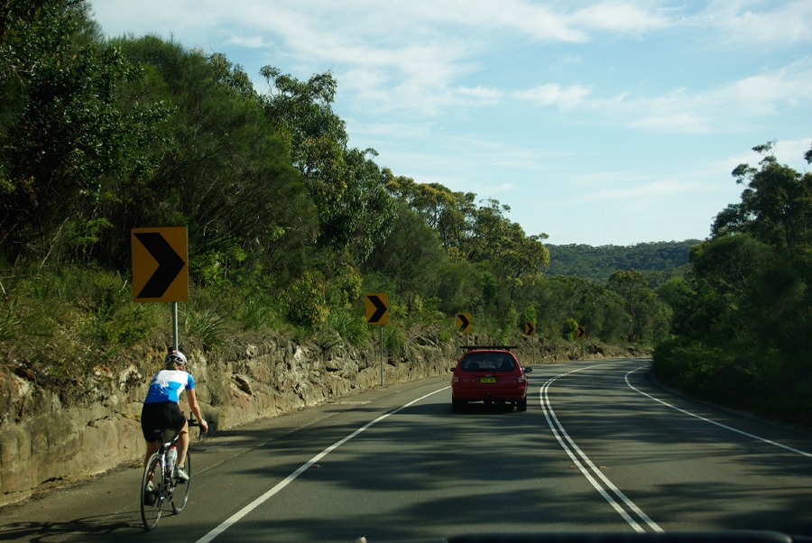 sydney-bushland-highway sydney-bushland-highway