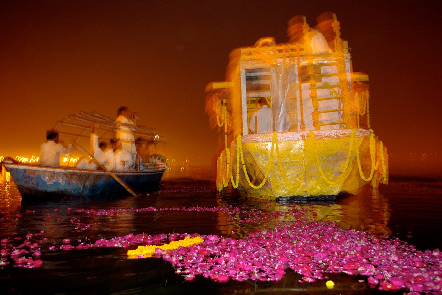 Roses In India