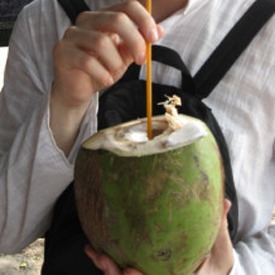 drinking-a-fresh-coconut-in-india