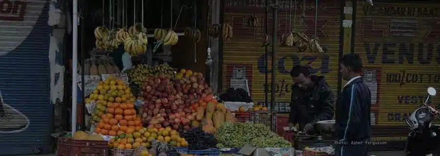 12 Tips for Eating in India as a Tourist Who Avoids Sickness (2025)