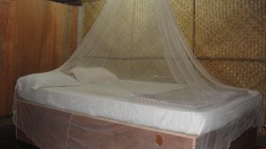 indian-mosquito-net