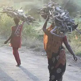 indian-ladies-wood-on-head