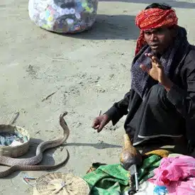 snake-charmer-in-india