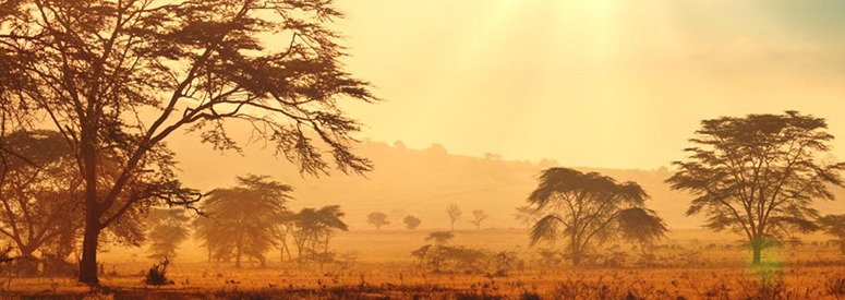 africa
