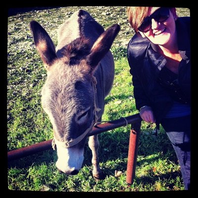 Chasing the Donkey
