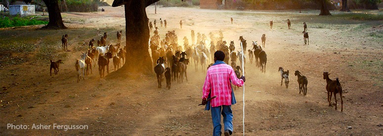 india