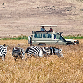 Where should I go on an African safari?