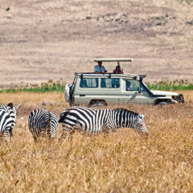 Where should I go on an African safari?