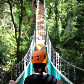 belize rainforest