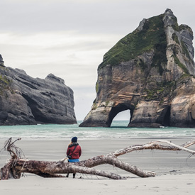 New-Zealand-Shore