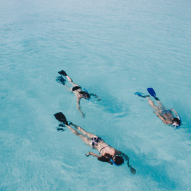 Snorkel excursion