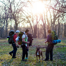 Camping-group