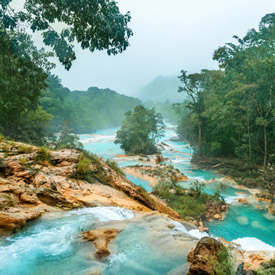 Mexico-Rainy