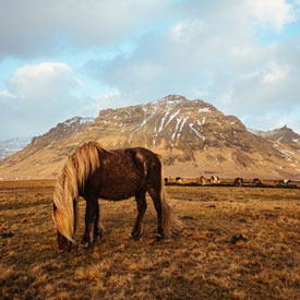 Iceland fall weather