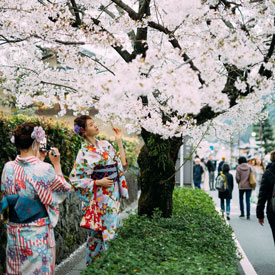 Japan-spring