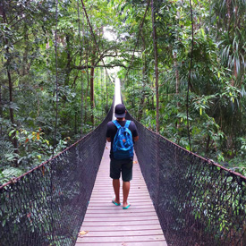 Bridge-Jungle-Central-america