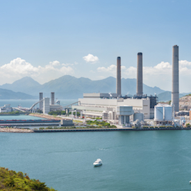 Hong Kong Plant