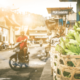 Bali Motorbike