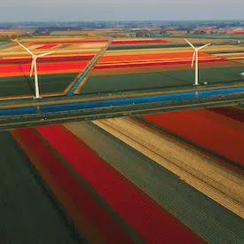 wind turbines