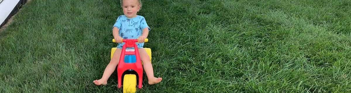11 Best Toddler Tricycles for Girls & Boys (2022 Reviews)