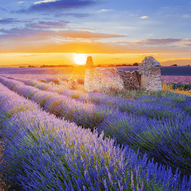 France sunset