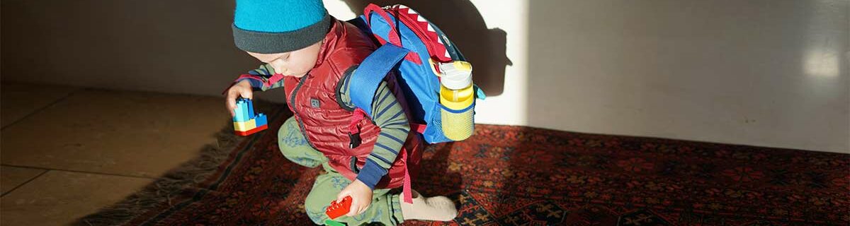 12 Best Toddler Lunch Boxes for Boys & Girls (2021 Reviews)