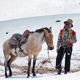 man-in-with-donkey-in-peru