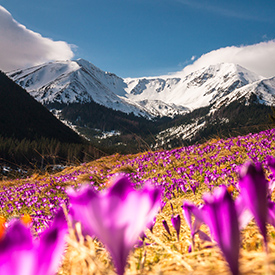 mountains in poland