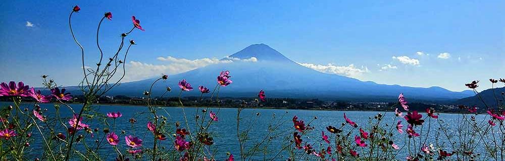 29 Top Japan Packing List Items for 2025 + What to Wear & NOT to Bring
