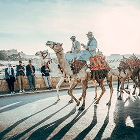 people on camels in egypt