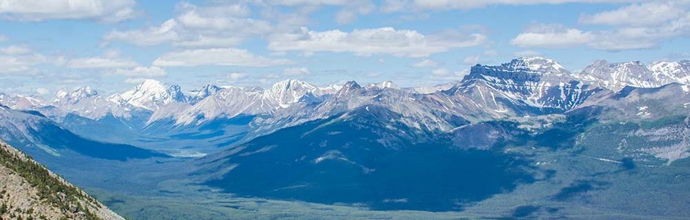 Colorado rockies