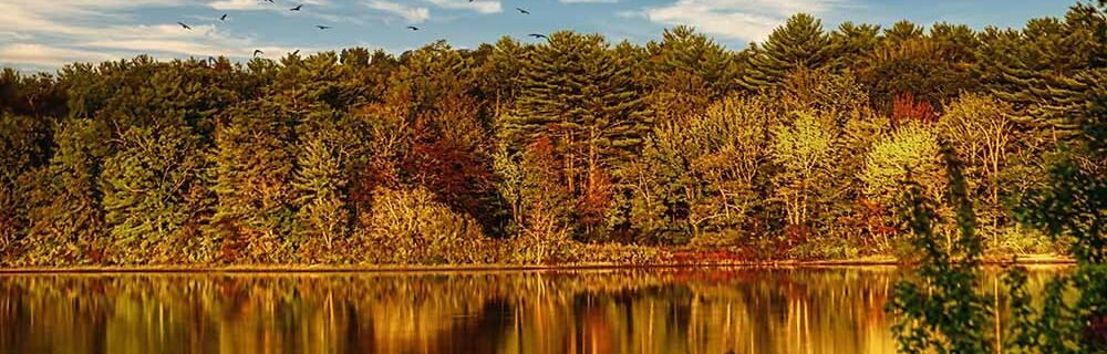 Fall landscape