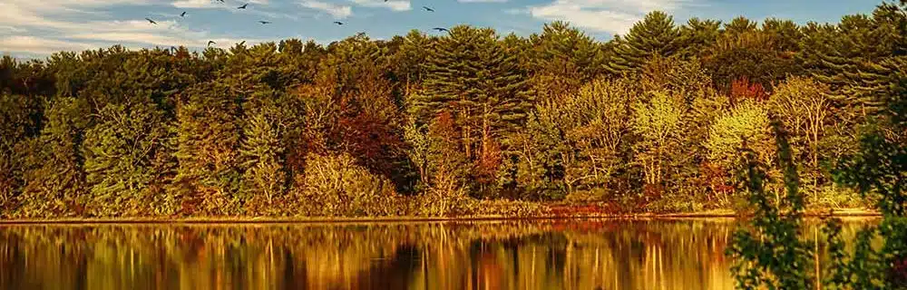 Fall landscape