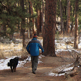 Walking dog in Denver woods