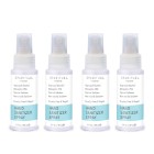 Hand Sanitizer Spray