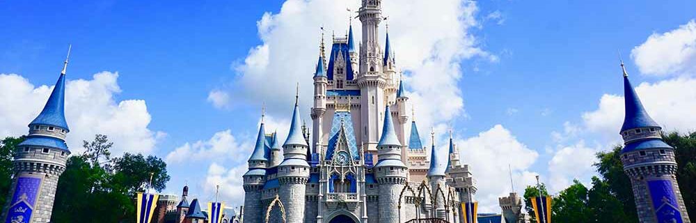 Disney world theme park