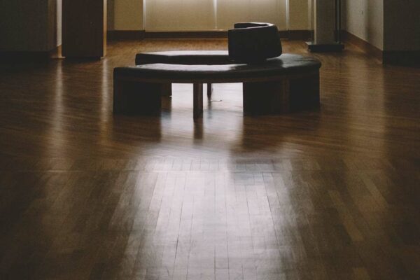 best steamer for laminate floors