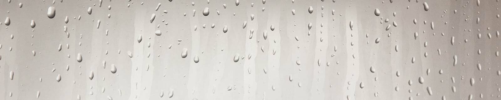 foggy shower - speaker