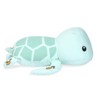 Elly Lu Tucker The Sea Turtle