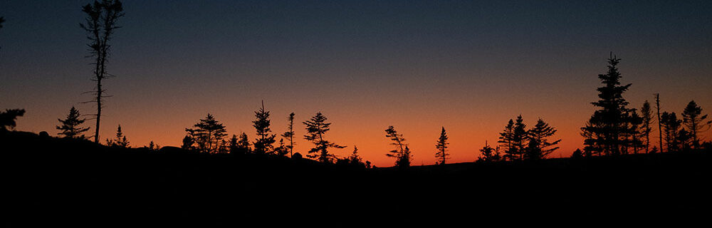 17 Top West Coast Trail Packing List Items for 2025 + What to Wear & NOT to Bring
