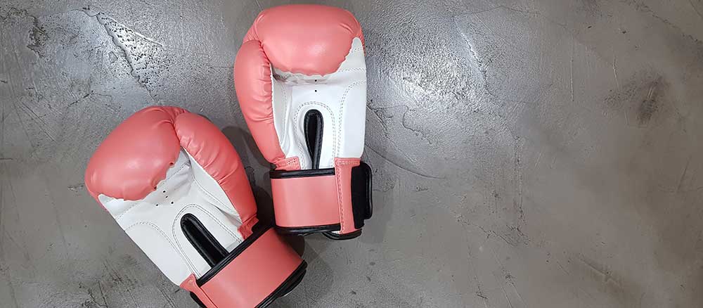 Pro Style Heavy Bag Training Boxing Gloves Fight Punch Bag Mitts MMA Training 
