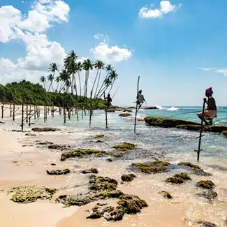 Dry Season