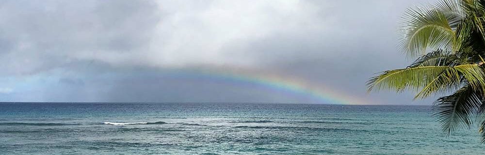 Maui rainbow