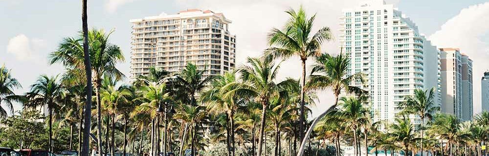 palm trees in city of Florida