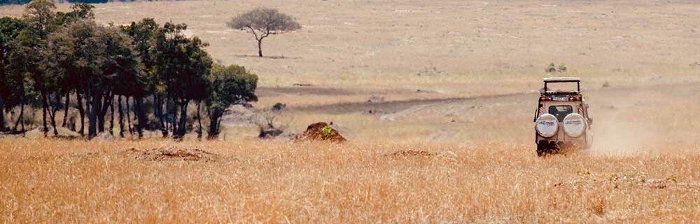 Jeep-driving through plains of Tanzania