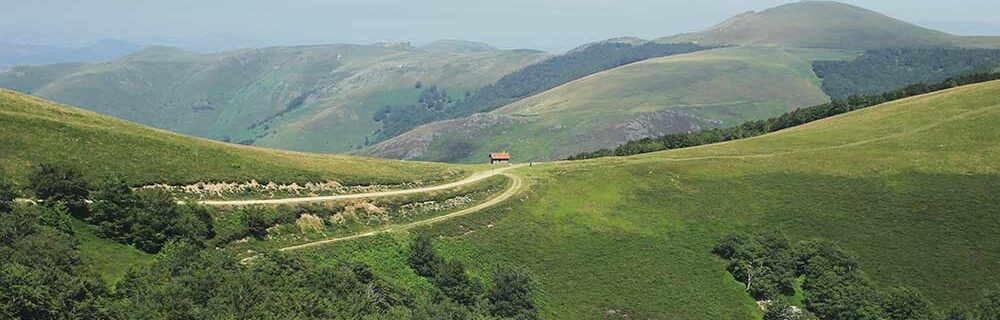 Camino de Santiago landscape