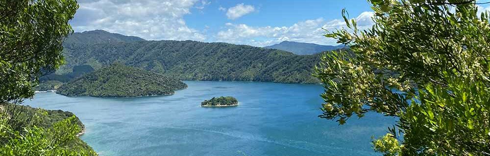 Overlook view of lake in New Zealand